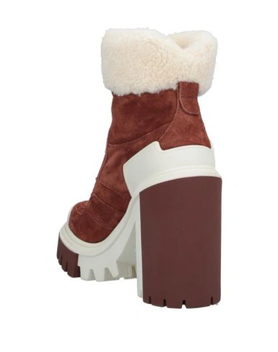 Shop Dolce & Gabbana Woman Ankle Boots Brown Size 6 Shearling, Calfskin