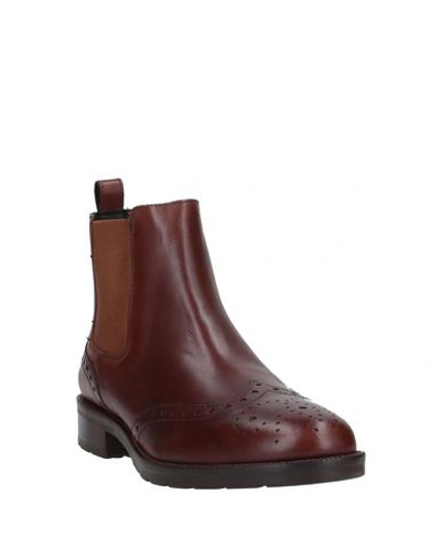 Geox Ankle Boots In Brown
