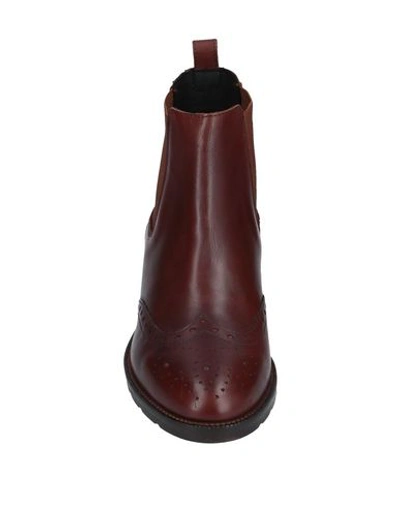 Geox Ankle Boots In Brown