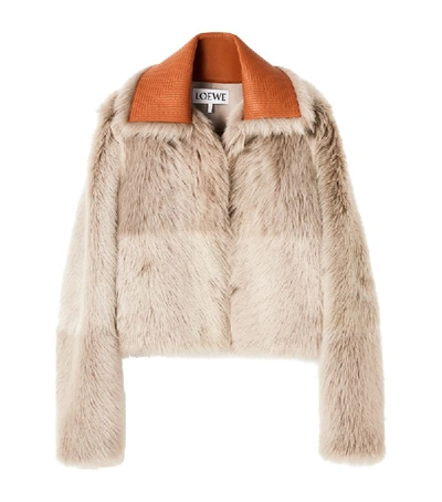 Shop Loewe Cropped Shearling Jacket