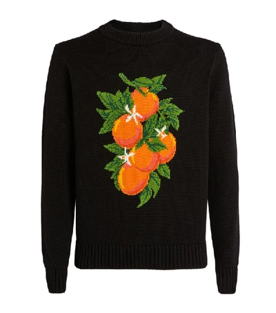 Shop Casablanca Oranges Intarsia Sweater