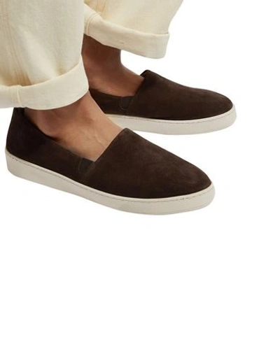 Shop Mulo Sneakers In Dark Brown