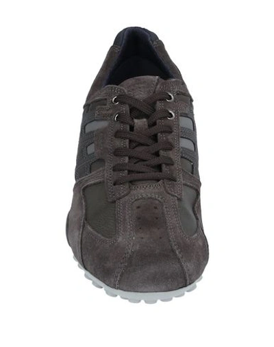 Shop Geox Sneakers In Lead