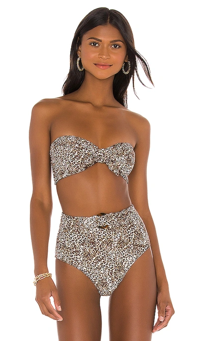 Shop Faithfull The Brand Tropez Bikini Top In Charlie Leopard
