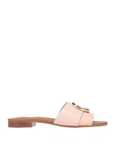 Shop Chloé Woman Sandals Blush Size 5 Soft Leather In Pink