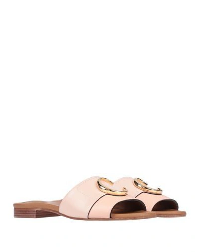 Shop Chloé Woman Sandals Blush Size 5 Soft Leather In Pink