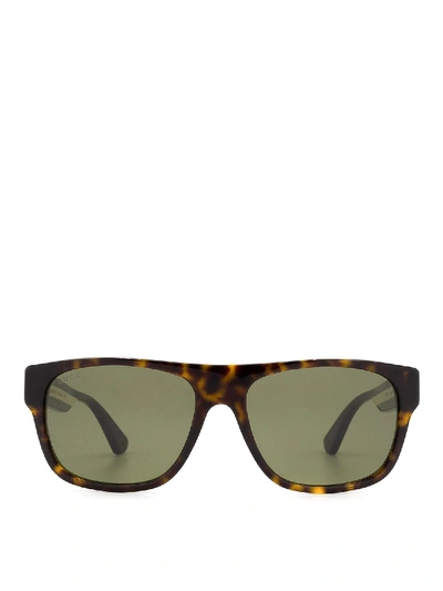 Shop Gucci Brown Havana Sunglasses With Striped Temples