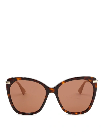 Shop Gucci Havana Brown Cat Eye Sunglasses