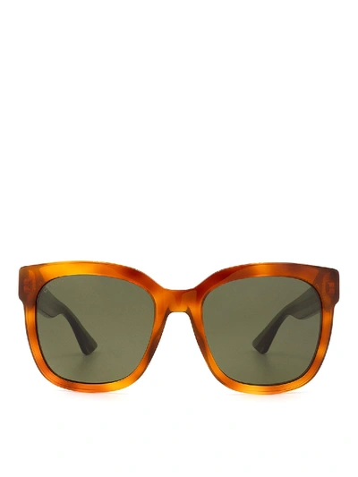 Shop Gucci Brown Sunglasses With Colored Temples