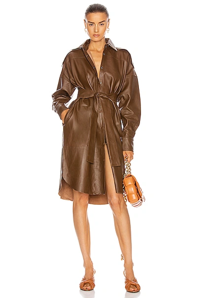 Shop Remain Lavare Long Sleeve Dress Leather Dress In Bison