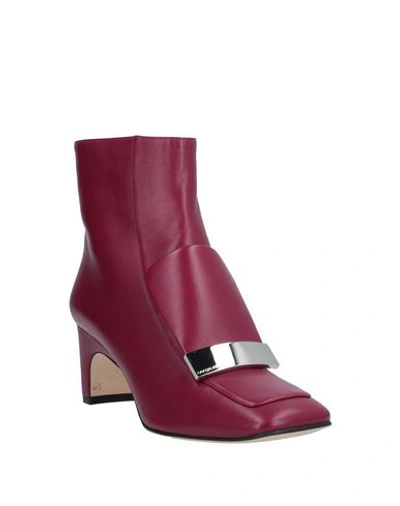 Shop Sergio Rossi Ankle Boot In Garnet