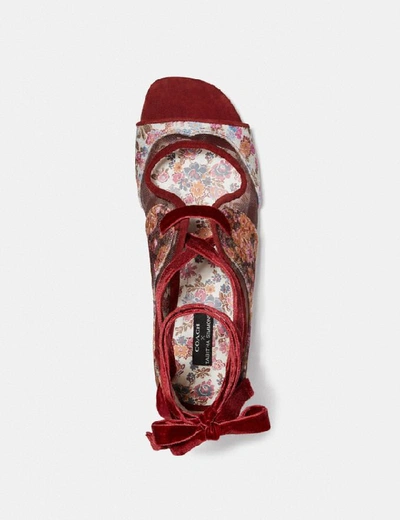 Shop Coach X Tabitha Simmons Liza Sandal - Women's In Cranberry