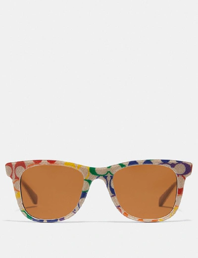 Coach rainbow sunglasses 2025