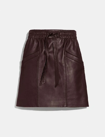 Shop Coach Leather Skirt - Women's In Walnut