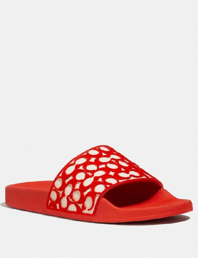 Shop Coach Udele Sport Slide In Fiery Red