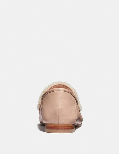 Shop Coach Helena Loafer - Women's In Pale Blush/natural