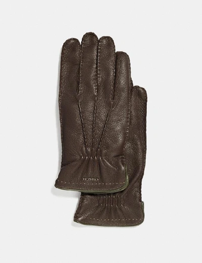 Shop Coach Deerskin Gloves In Mahogany