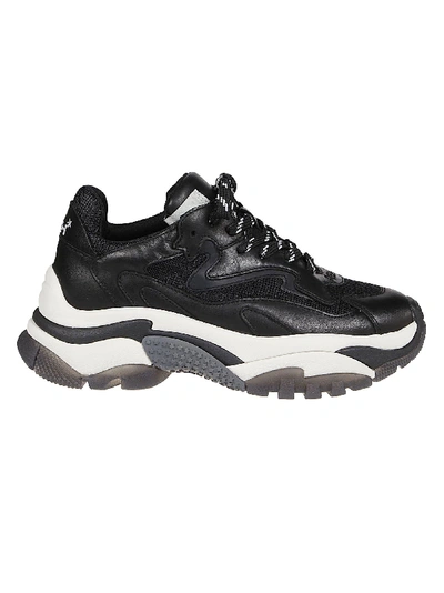 Shop Ash Sneakers Addict04 In Black/mesh Black