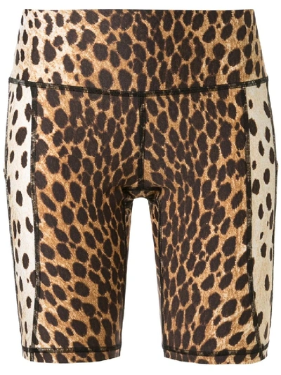 Shop R13 Cheetah Print Bicycle Shorts In Brown