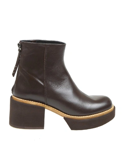 Shop Paloma Barceló Ankle Boot Deniz In Blackeather In Brown