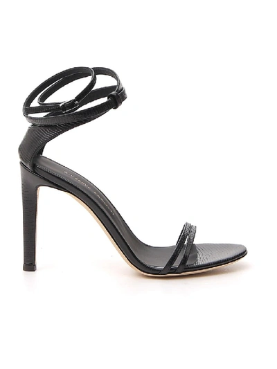 Shop Giuseppe Zanotti Catia Black Leather Sandals