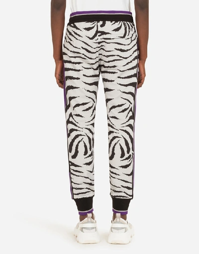 Shop Dolce & Gabbana Jersey Jogging Pants With Zebra Print In Animal Print