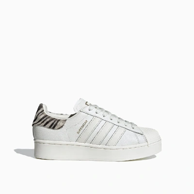 Shop Adidas Originals Sneakers Adidas Original Superstar Bold Fv3458 In White