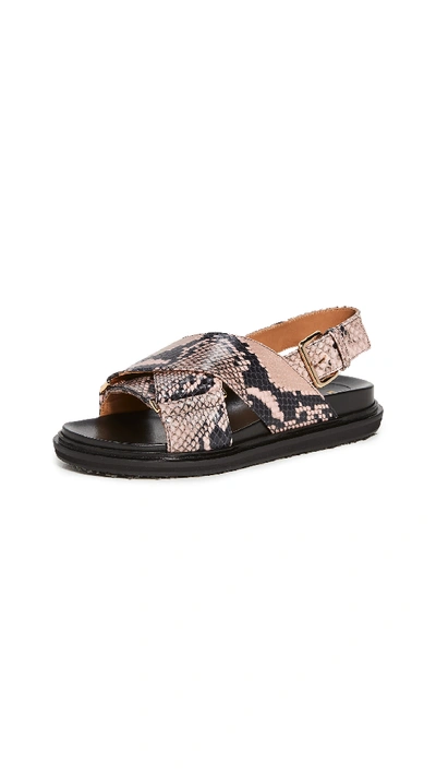 Shop Marni Fussbett Crisscross Sandals In Quartz