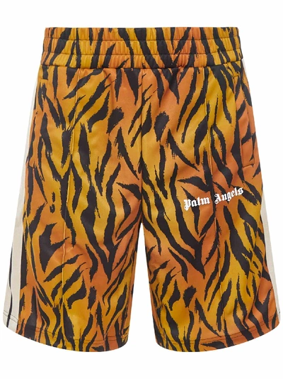Shop Palm Angels Tiger Track Shorts In Brown