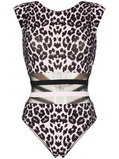 Shop Agent Provocateur Zenaya Leopard-print Swimsuit In Black