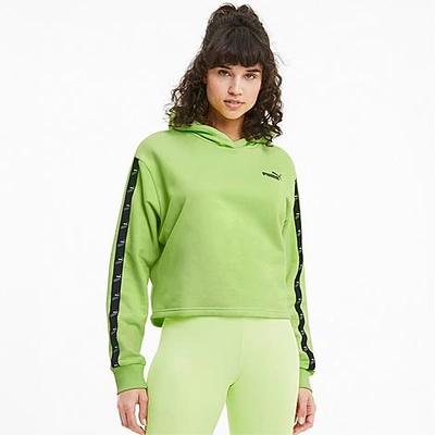 Shop Puma Women's Amplified Cropped Training Hoodie In Sharp Green