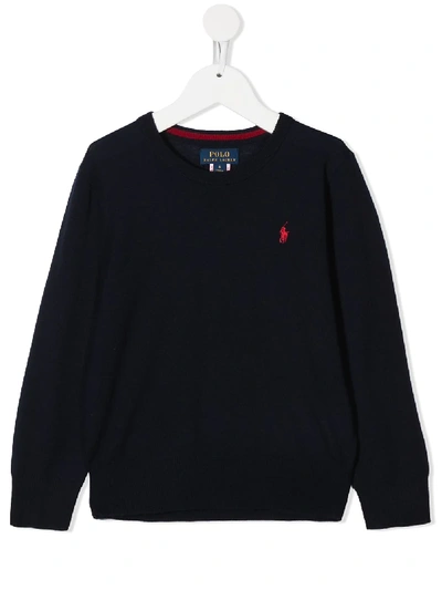 Shop Ralph Lauren Polo Pony Embroidered Jumper In Blue