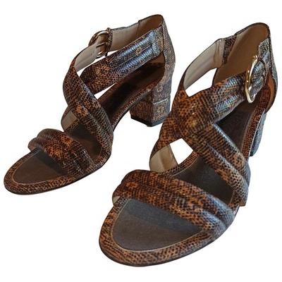 Pre-owned Ferragamo Brown Lizard Sandals