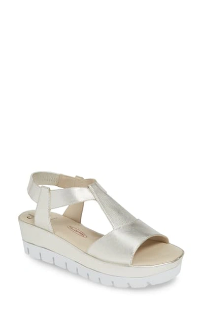 Shop Amalfi By Rangoni Bastia Wedge T-strap Sandal In Champagne Leather