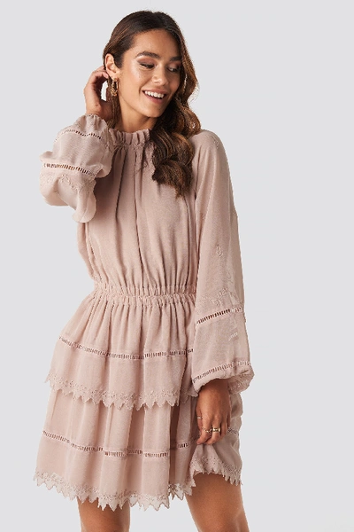 Shop Na-kd Embroidery Mini Dress - Pink In Dusty Pink