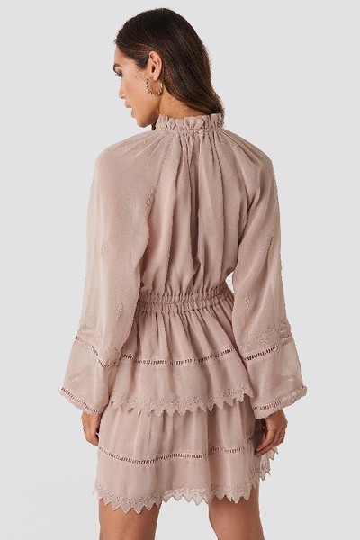 Shop Na-kd Embroidery Mini Dress - Pink In Dusty Pink