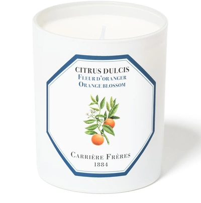 Shop Carriere Freres Scented Candle Orange Blossom - Citrus Dulcis 185 G In White