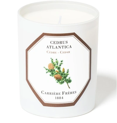 Shop Carriere Freres Scented Candle Cedar - Cedrus Atlantica 185 G In White