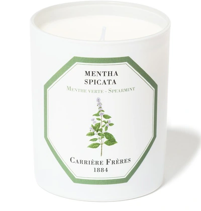 Shop Carriere Freres Scented Candle Spearmint - Mentha Spicata 185 G In White