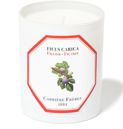 Shop Carriere Freres Scented Candle Fig Tree - Ficus Carica 185 G In White