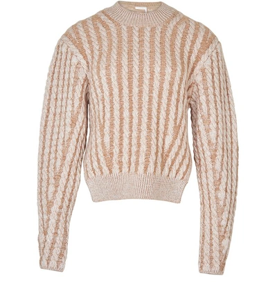 Shop Chloé Sweater In Sandy Beige