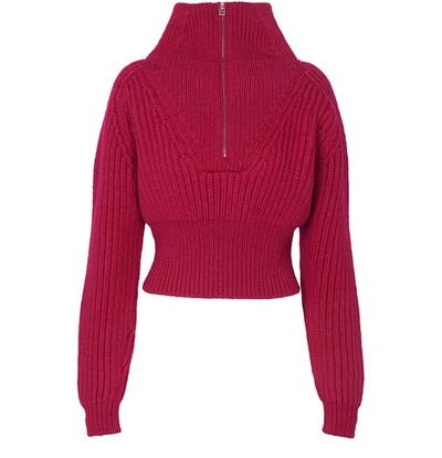 Shop Jacquemus Olive Knit In Pink
