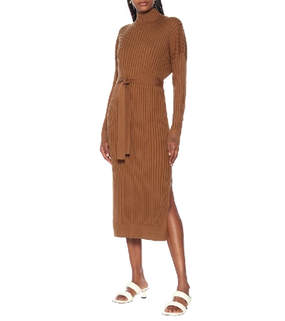 Shop Proenza Schouler Silk-blend Turtleneck Midi Dress In Brown