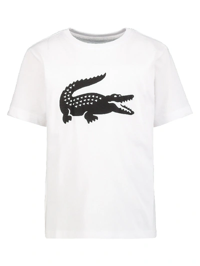 Shop Lacoste Kids T-shirt For Boys In White