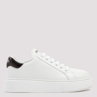 Shop Prada Prad In F Bianco Nero