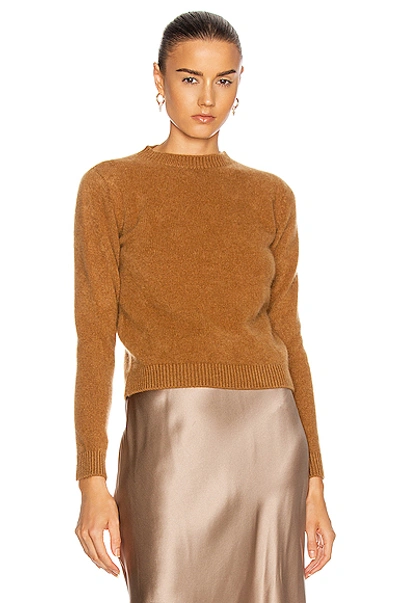 Shop The Elder Statesman Simple Crop Crew Sweater In Caramel