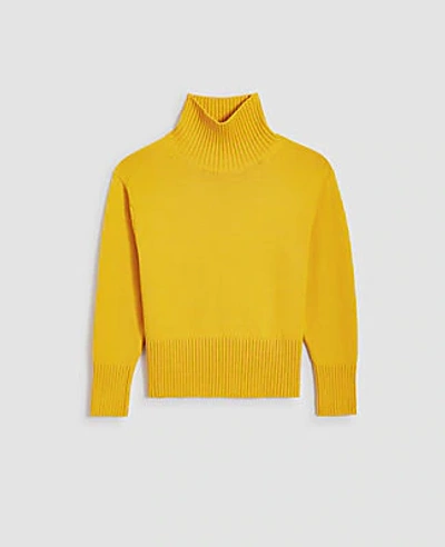 Shop Ann Taylor Ribbed Turtleneck Sweater In Lemon Curry