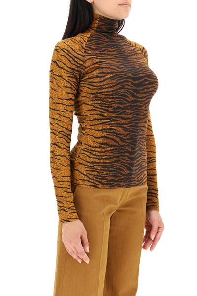 Shop Kenzo Tiger T-shirt In Brown,black