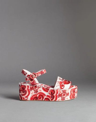 Dolce & Gabbana Majolica Brocade Bianca Wedges In Red