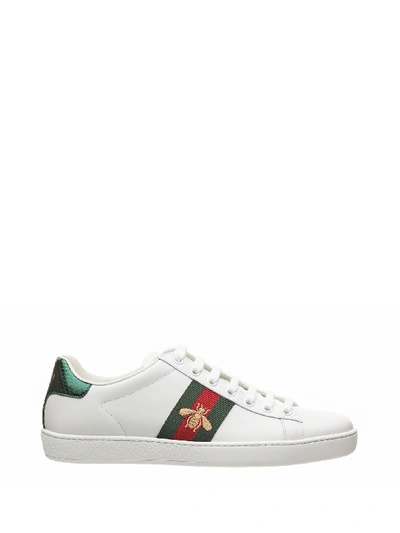Shop Gucci Embroidered Ace Sneakers In Bianco Verde